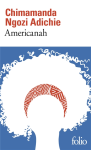 Americanah vignette